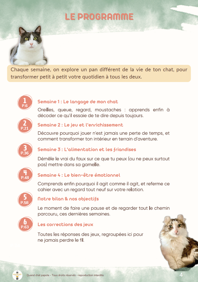 Kit vacances pour ton chat et toi !