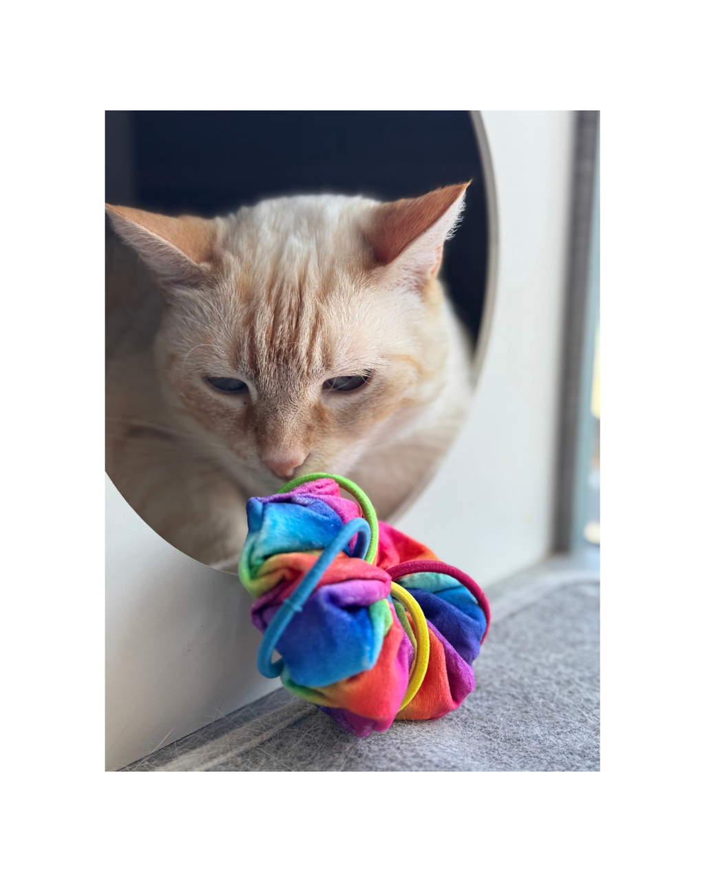Scrunchie