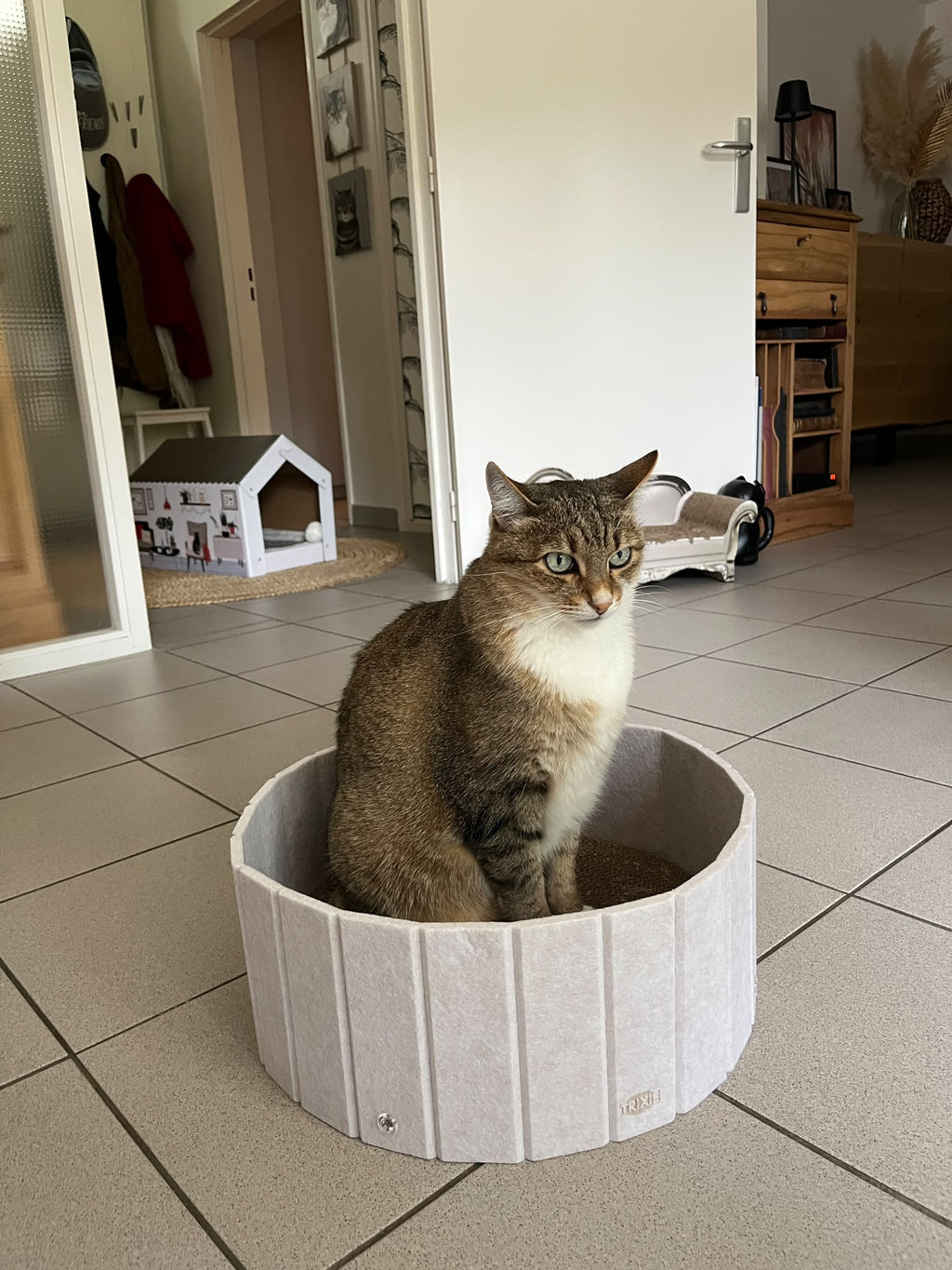 Lit griffoir avec bord en feutre + 1 rechange carton