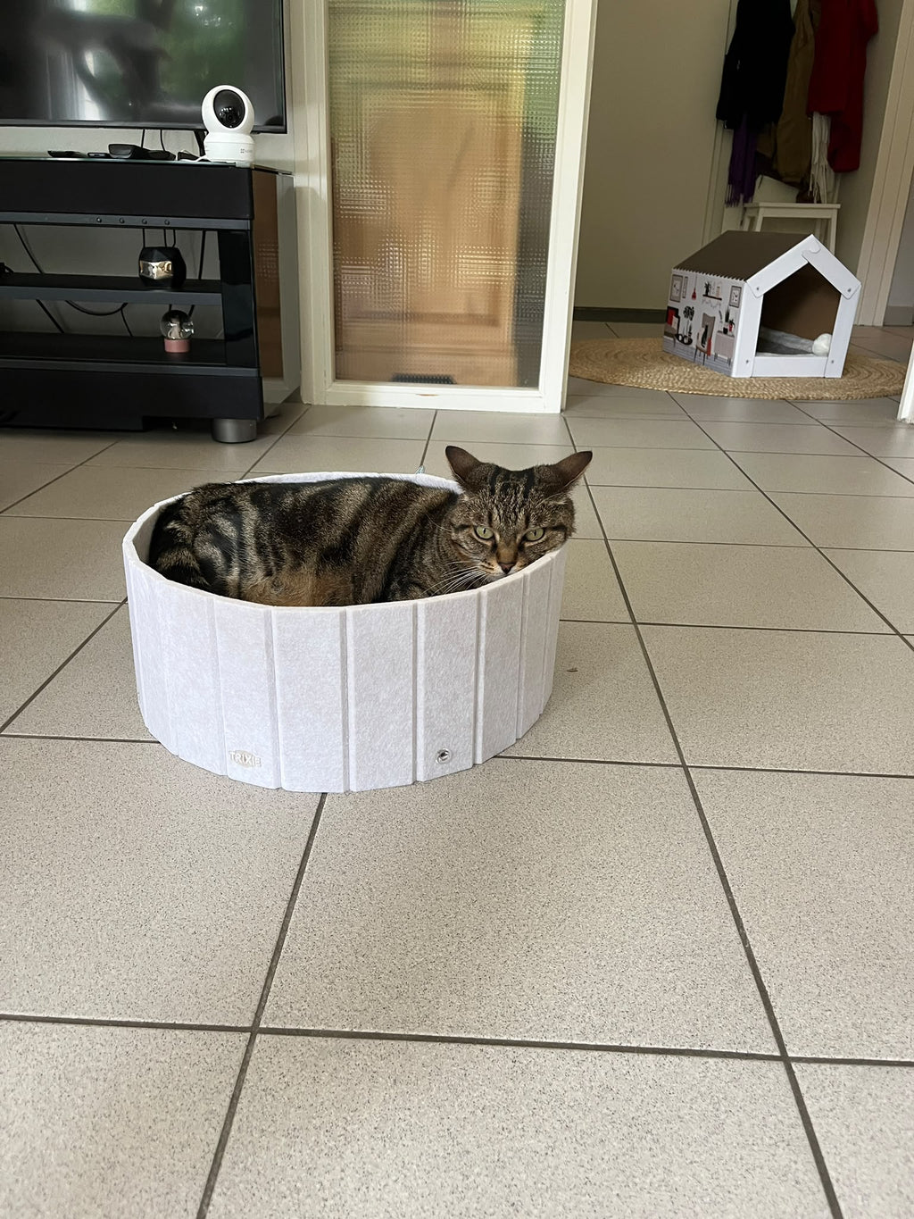 Lit griffoir avec bord en feutre + 1 rechange carton