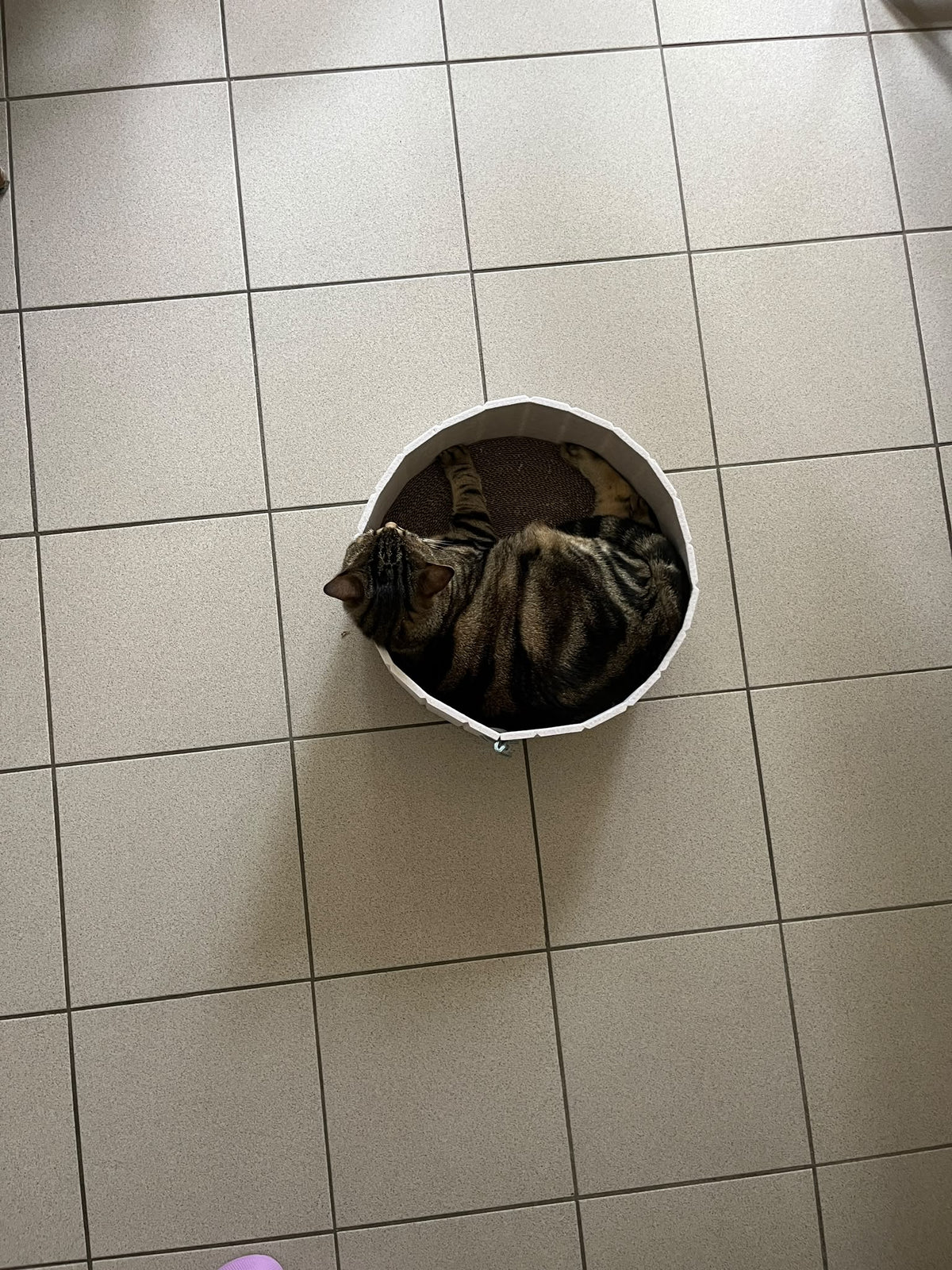Lit griffoir avec bord en feutre + 1 rechange carton