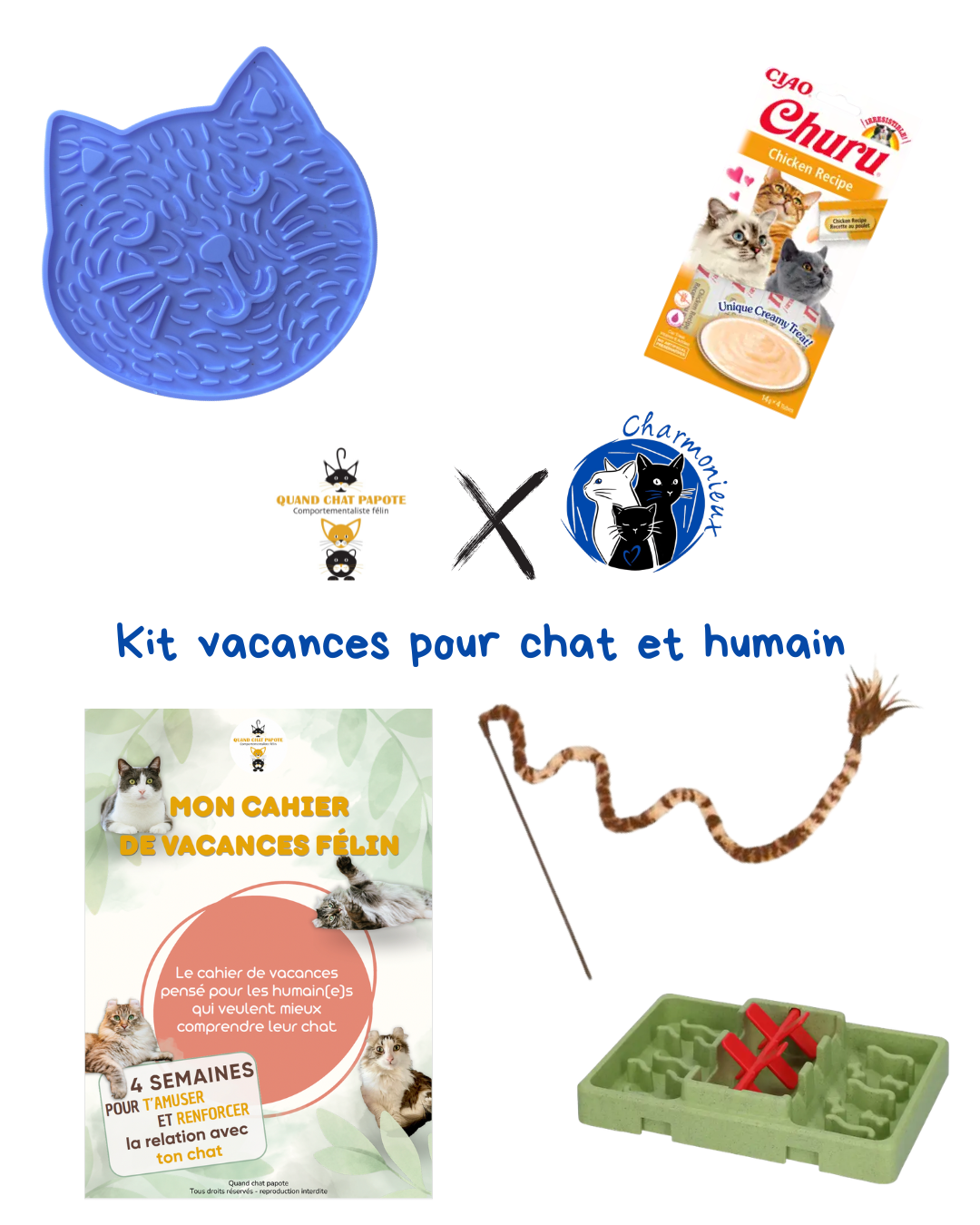 Kit vacances pour ton chat et toi !