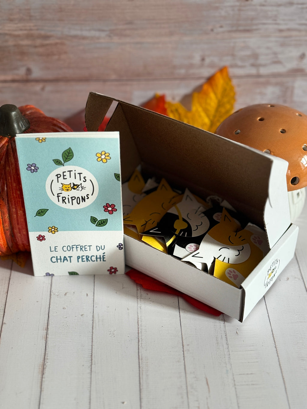 Coffret découverte herbes aux chats bio et locales