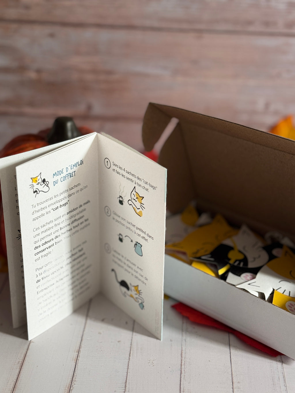 Coffret découverte herbes aux chats bio et locales