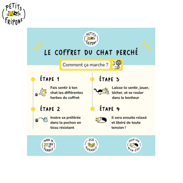 Coffret découverte herbes aux chats bio et locales