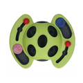 Puzzle Beetle