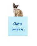 Gant de toilettage pour chat à poils ras