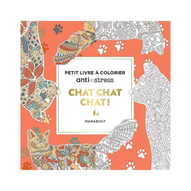 Petit livre à colorier Chat Chat Chat !
