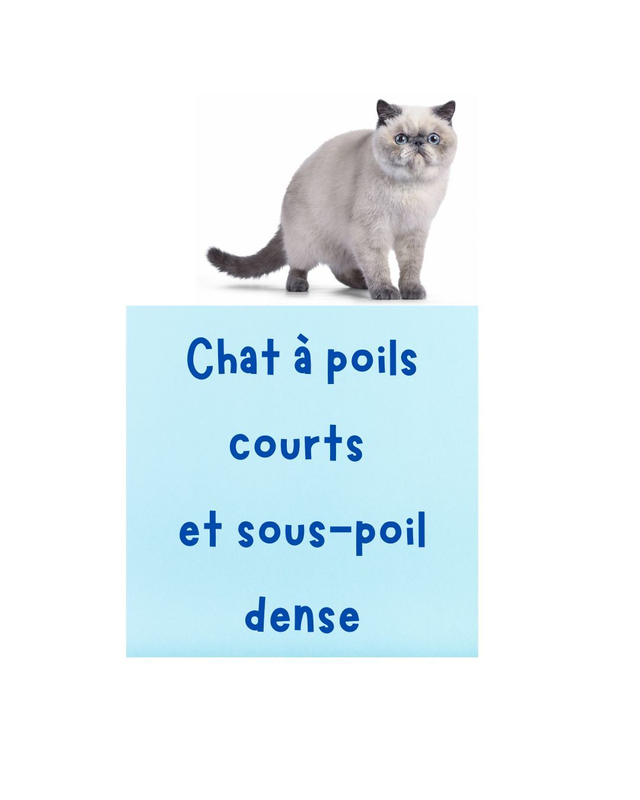 Kit brossage chat à poils courts avec sous-poils dense