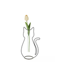 Vase chat