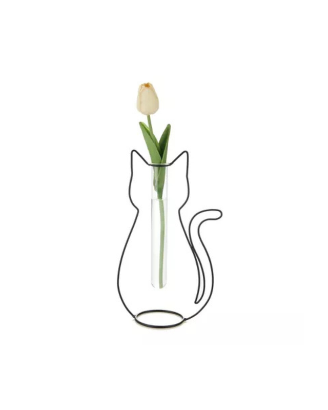 Vase chat