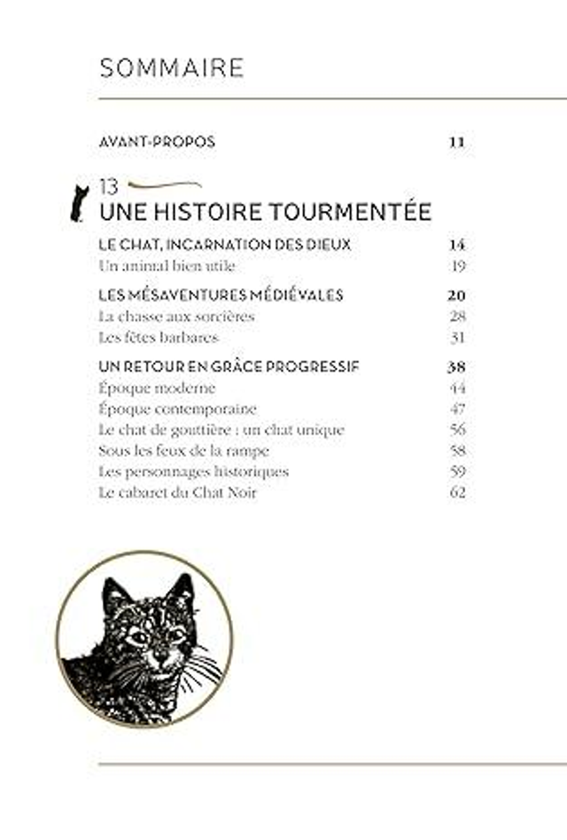 Mystérieux Chat Noir