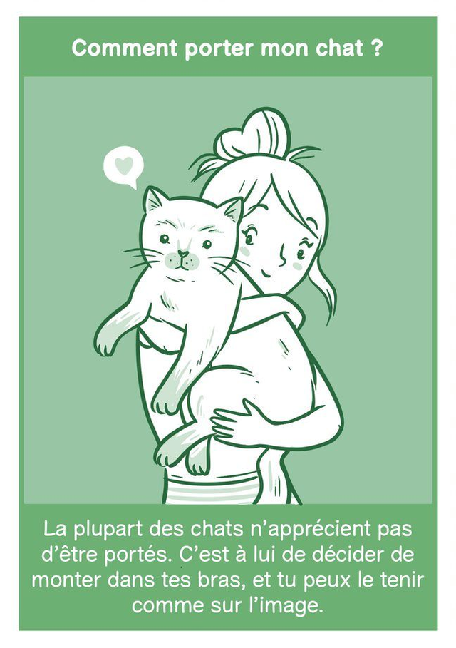 Cartes pédagogiques Les Chats de Bastet (à partir de 2 ans)