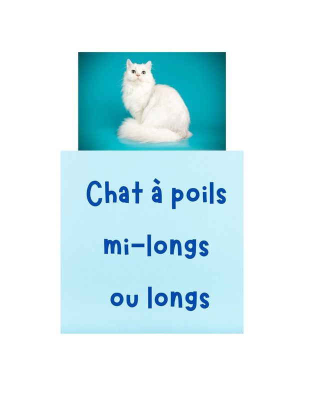 Kit brossage pour chat à poils mi-long ou long