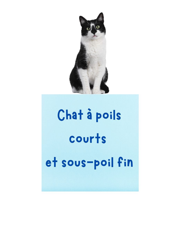 Kit brossage pour chat aux poils courts et sous poil fin