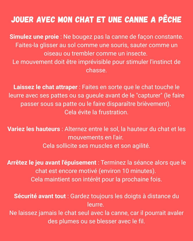 Canne à pêche à plumes KONG