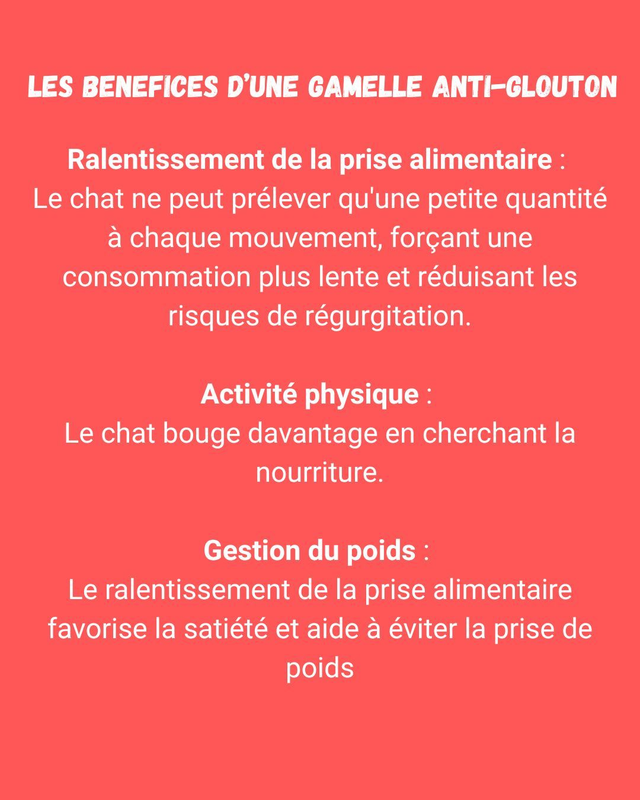 Labyrinthe distributeur chat Cat it