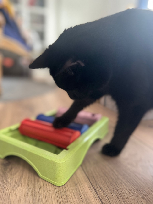 Puzzle Roller