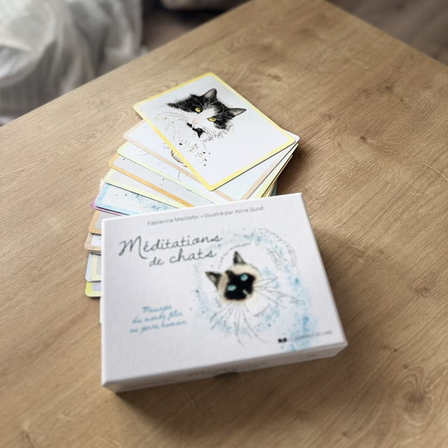 Méditations de chats