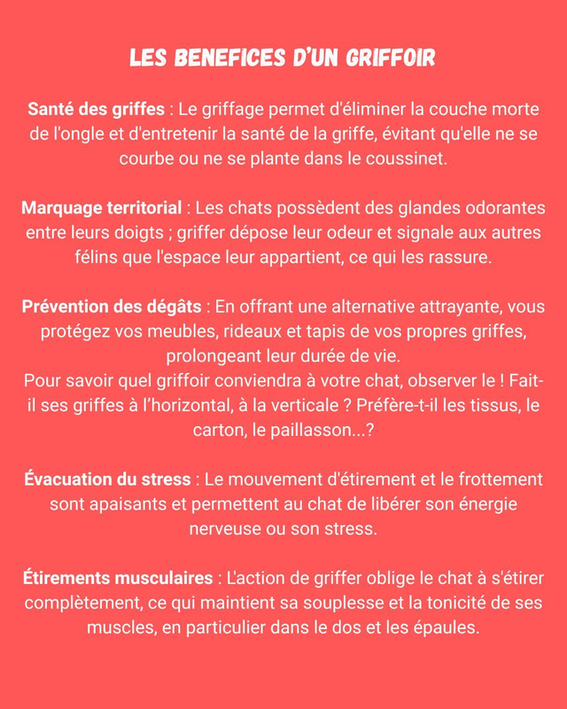 Tapis Griffoir pour chat
