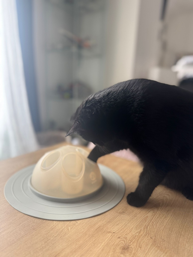 Cat Igloo Rose pastel