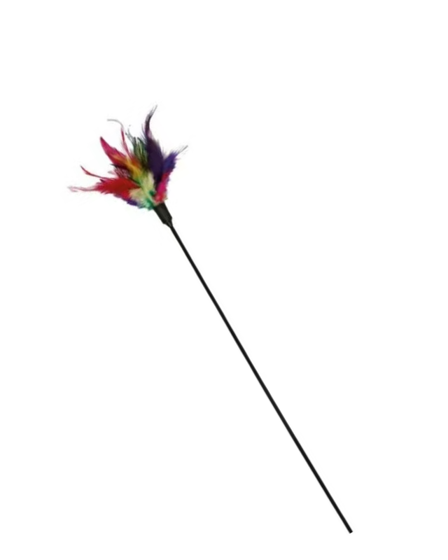 Trixie Canne À Pêche Avec Plumes