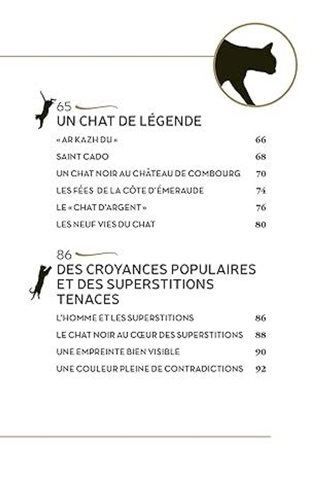 Mystérieux Chat Noir