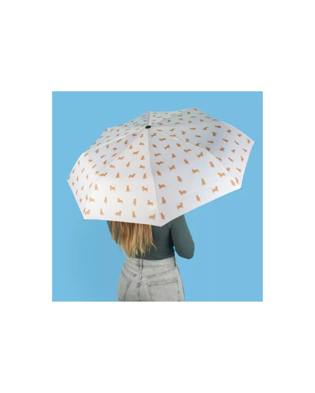 Parapluie Calico