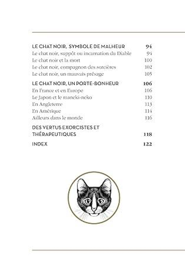 Mystérieux Chat Noir