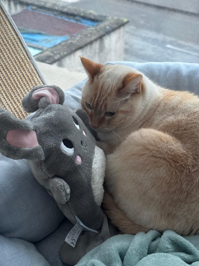 Peluche Snoet (simulateur de battements de cœur)
