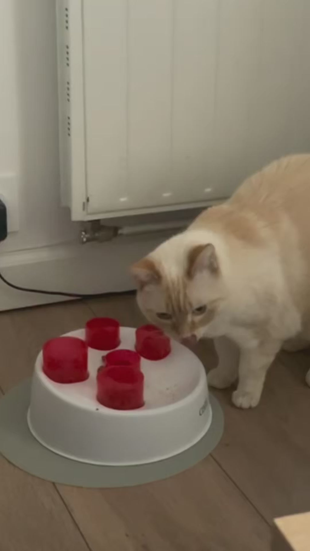 Catit Digger : tubes à croquettes pour chat