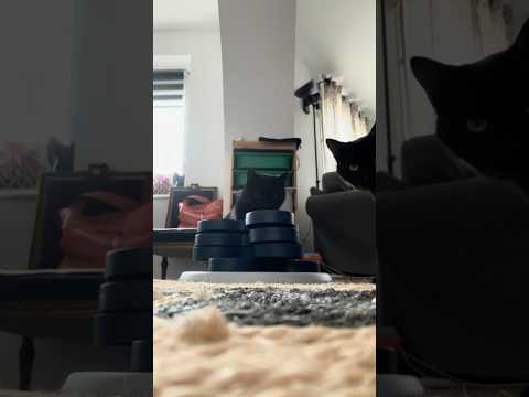 Flower Tower Trixie