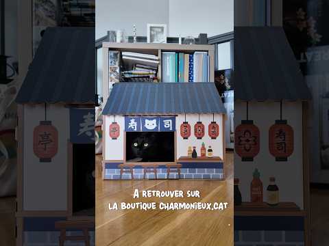 Bar à sushis 🍣 maison griffoir en carton