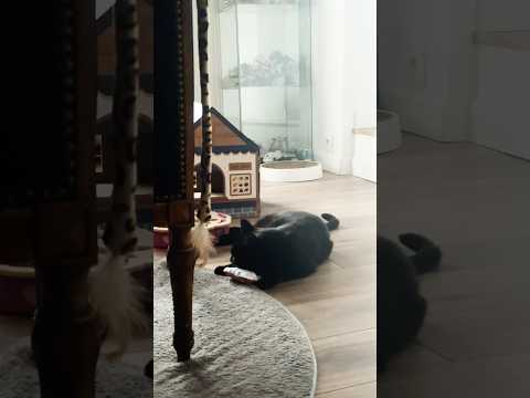 Casper Spookie à la valériane