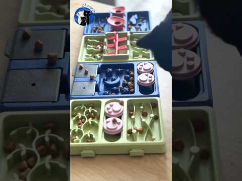 Mini-puzzle Crazy River