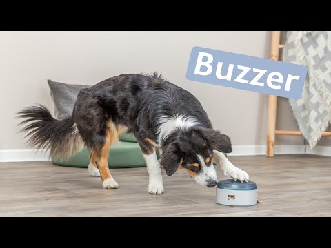 Buzzer