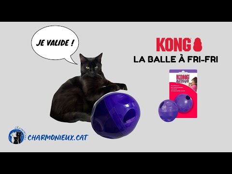 Balle à fri-fri Kong