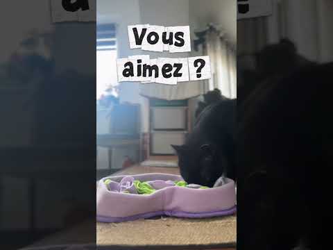 Tapis de fouille cœur