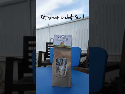 Kit herbe à chat bio