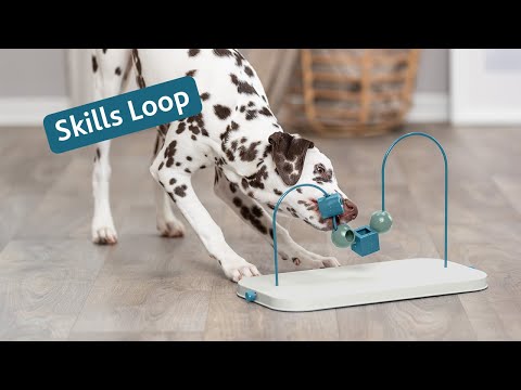 Skills Loop