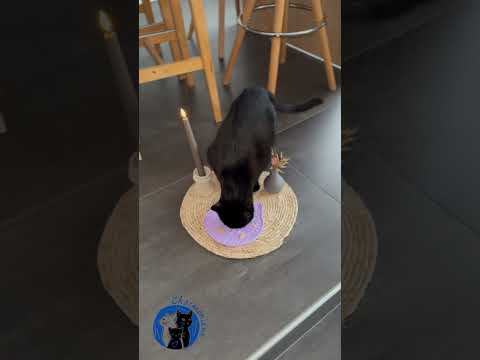 Tapis de léchage Tête de chat