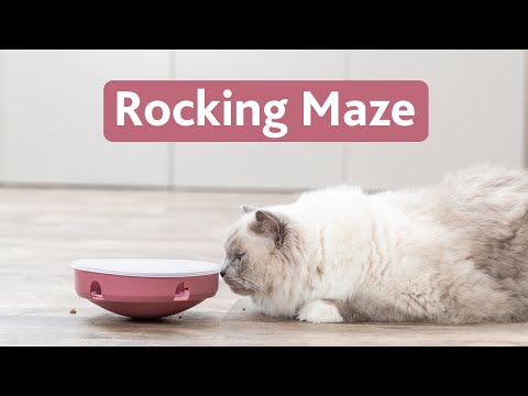Rocking Maze